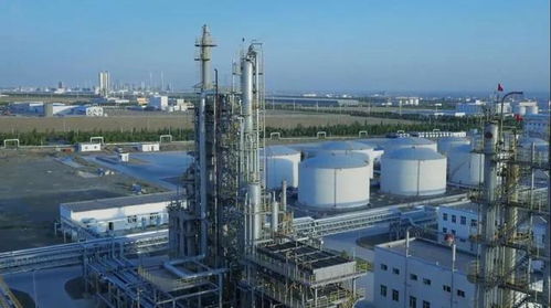 砥礪奮進五年間 奎屯—獨山子經濟技術開發區榮獲兩項國家級殊榮，技術轉讓成果顯著