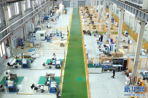 重慶兩江新區 國產工業機器人如何為制造業強筋健骨